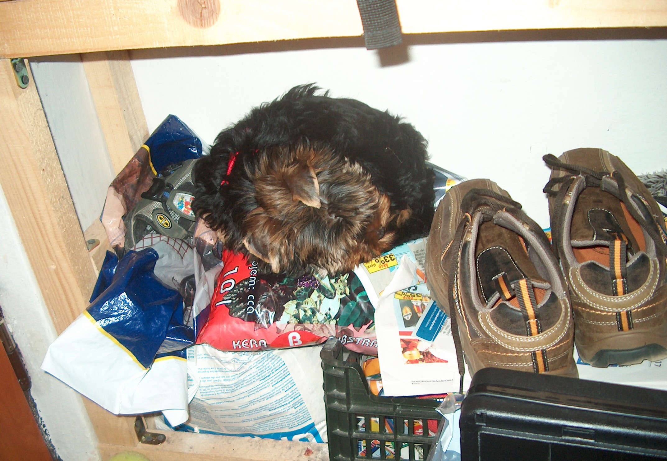 HPIM4471.jpg